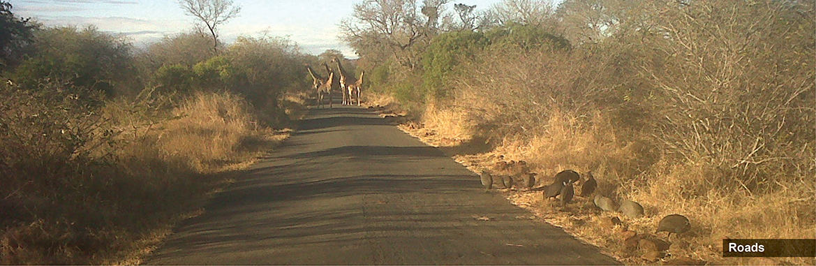 KZN based, construction, company, durban, kwazulu natal, Landfill, Bulk earthworks, Roadworks and Reticulation, BEE compliant, certification